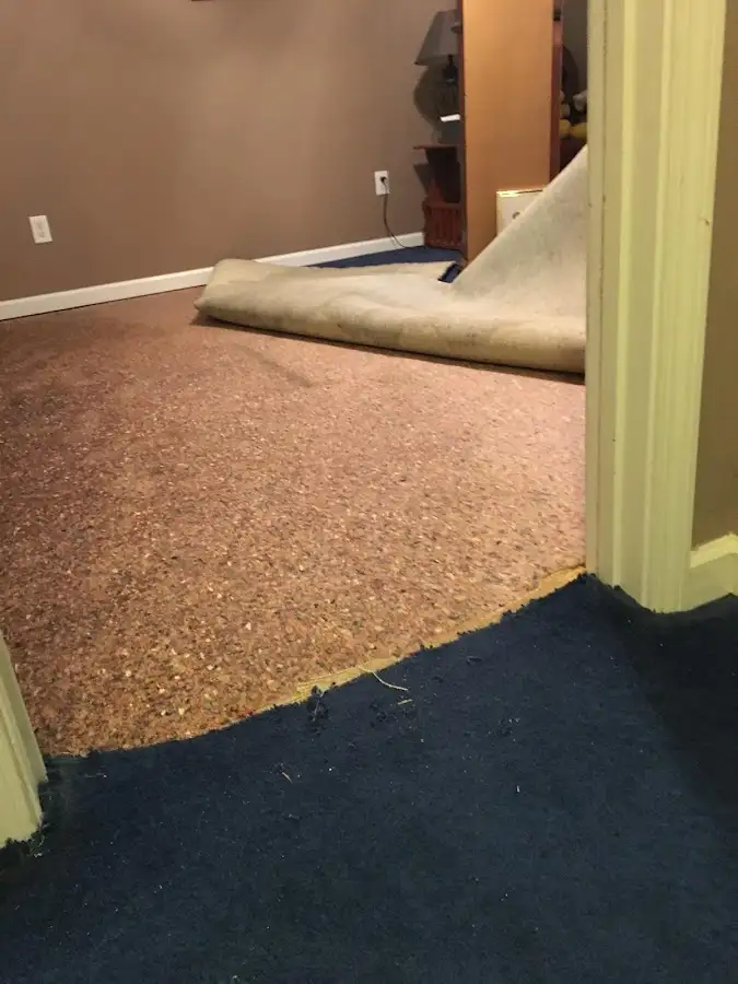 Carpet pad removal revealing water damage during Water Mitigation Services in Lacey