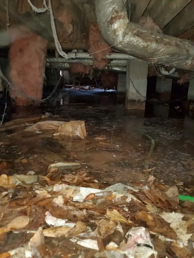 Crawl space flood assessment for Leak Detection & Repair in Lacey