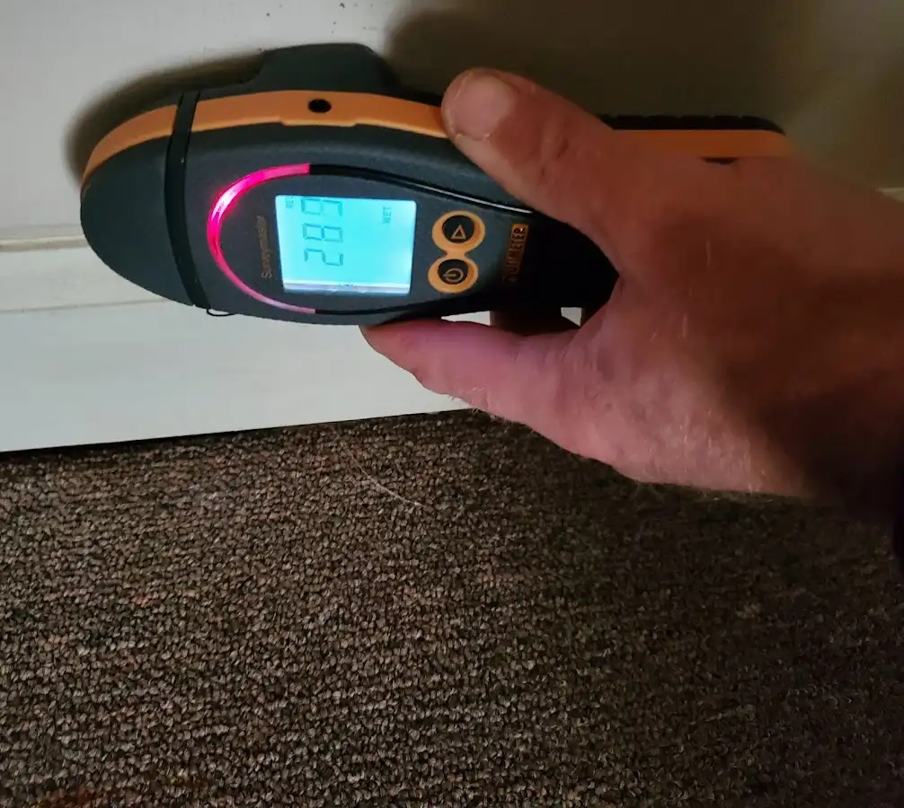 Moisture detection at baseboard during Sewage Cleanup & Sanitation in Lacey